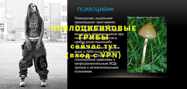соль ск Липки