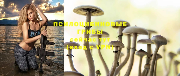 а пвп мука Лиски