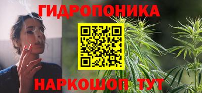гашик Донецк