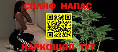 гашик Донецк