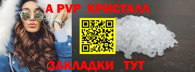 стафф Донской