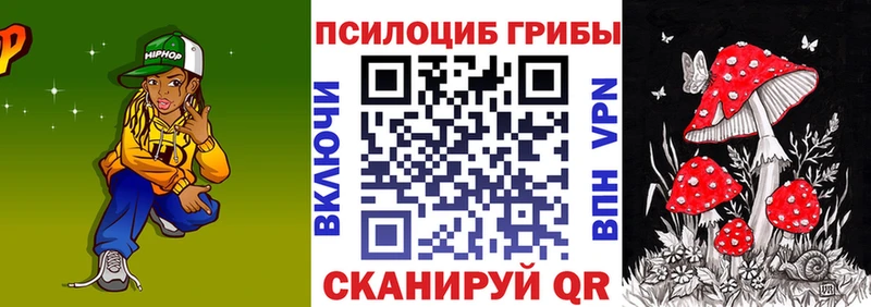 где купить наркоту  Фролово  omg ссылки  Псилоцибиновые грибы Cubensis 