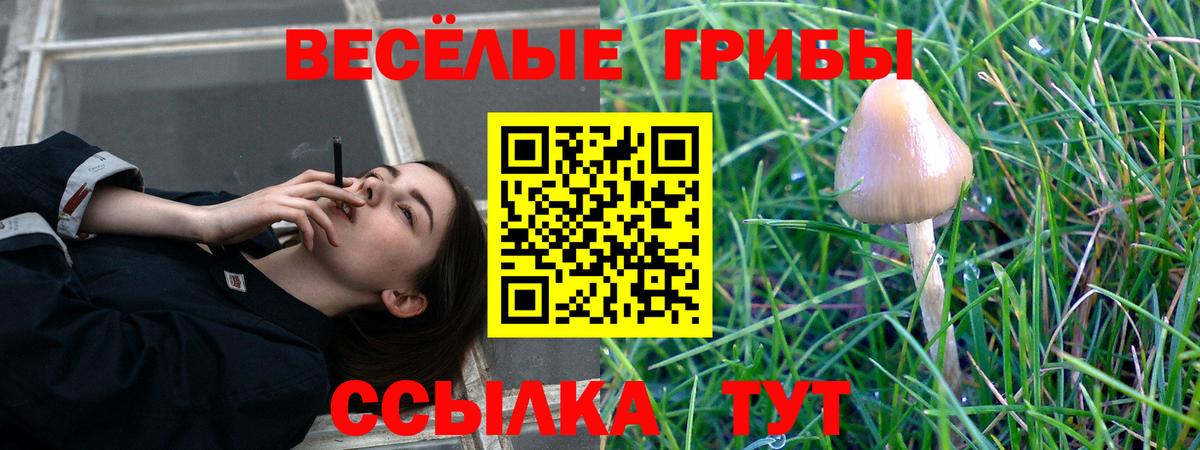 Фролово  Псилоцибиновые грибы GOLDEN TEACHER  Вход с VPN  Псилоцибиновые грибы Psilocybe 